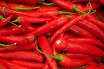 What Chilli is the Hottest?